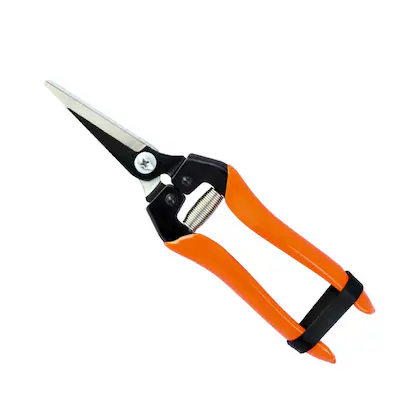 [ToolsMart4473] FRUIT SHEARS FALCON (FBT-45)